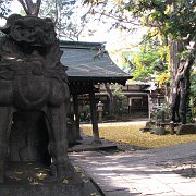 2009-12-17_004