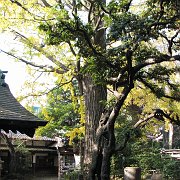 2009-12-17_005