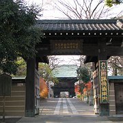 2009-12-17_016