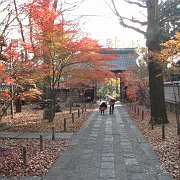 2009-12-17_026