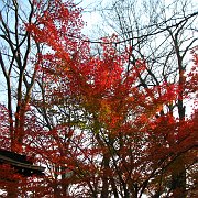 2009-12-17_027