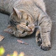2009-12-17_039