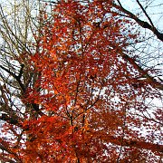 2009-12-17_044