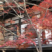 2009-12-17_048