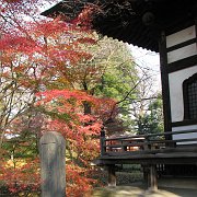 2009-12-17_053