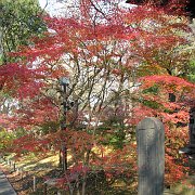 2009-12-17_054