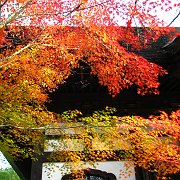 2009-12-17_057