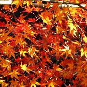 2009-12-17_058