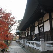 2009-12-17_063