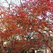 2009-12-17_067
