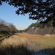 2009-12-23_056